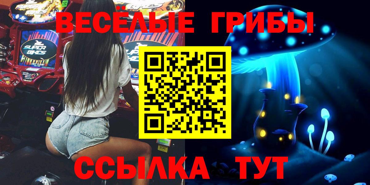 Галлюциногенные грибы Psilocybine cubensis Сертолово