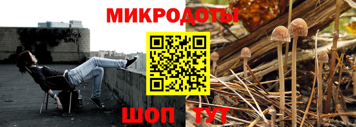Псилоцибиновые грибы GOLDEN TEACHER  Вход с VPN  Сертолово  Галлюциногенные грибы Psilocybine cubensis 
